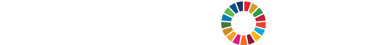 SDG Logo