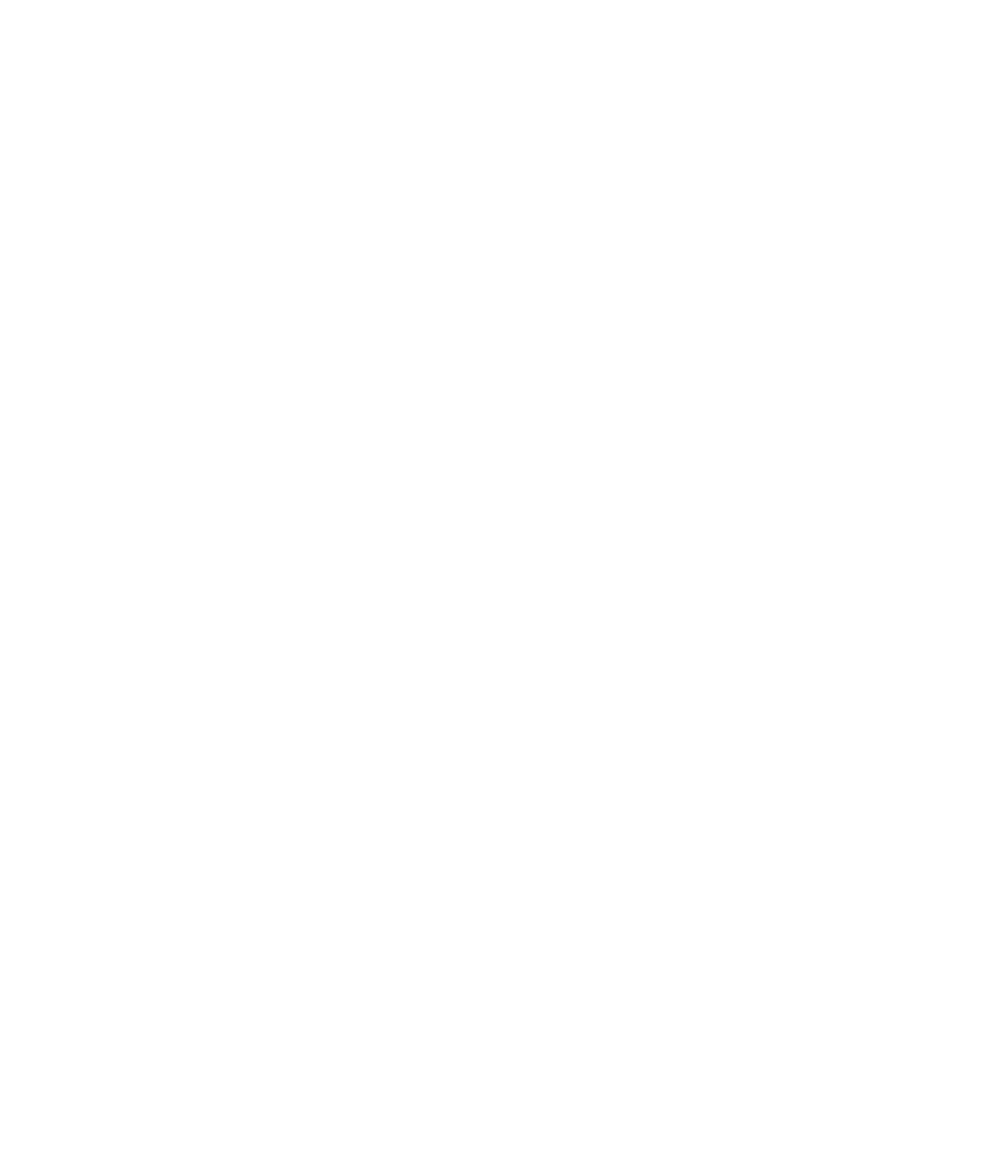 BEM Logo