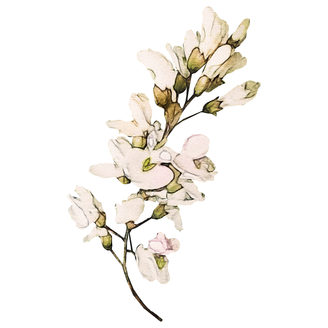 Decorative Flower